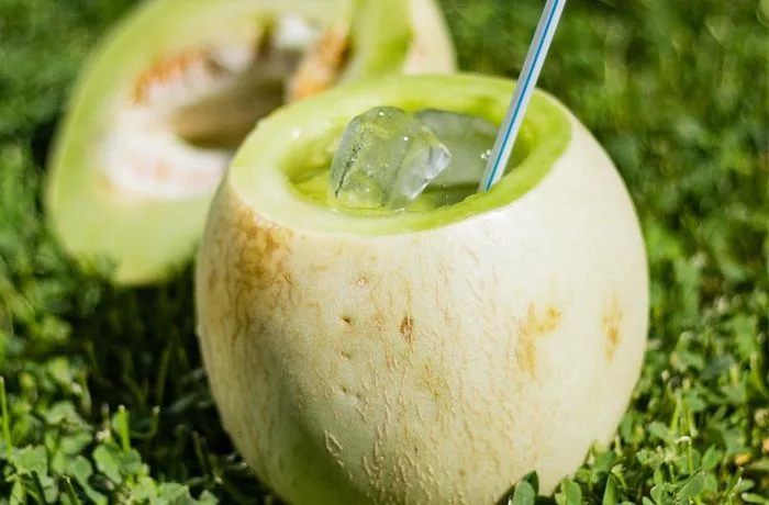 Receta Melon con Vino