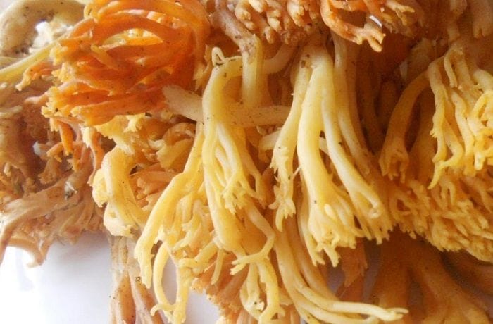 Receta de changles con papas salteadas