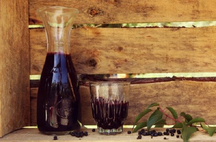 Receta de chicha de maqui chileno