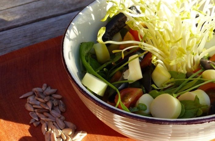 Receta de ensalada de brotes de coligue