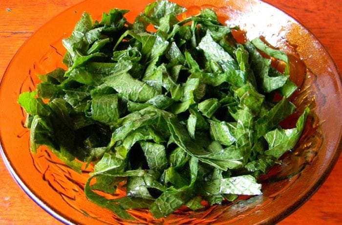 Receta de ensalada de romaza chilena