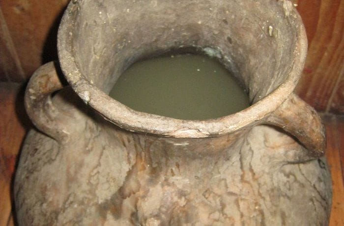 Receta de muday de arveja chileno