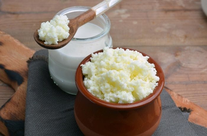 Receta de kéfir o yogurt de pajaritos