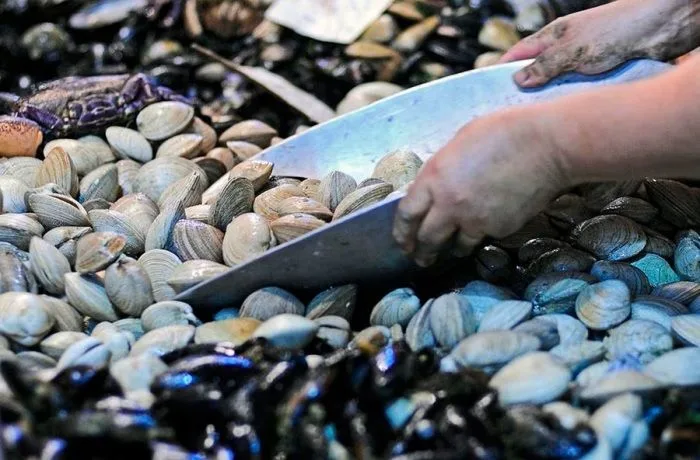Recetas con mariscos fáciles y rápidas - Comidas Chilenas
