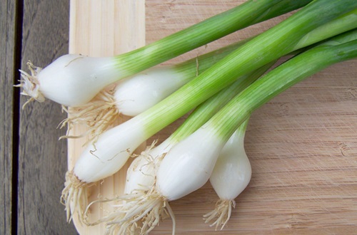 Cebollines Cebollines