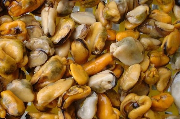 Choritos o mejillones Choritos o mejillones