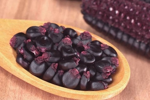 Purple corn Purple corn
