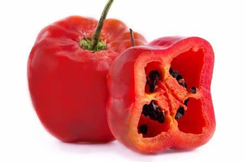 Aji rocoto Aji rocoto