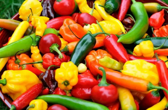 Descubriendo la diversidad de los ajíes peruanos: Una aventura de aromas y sabor Ajíes Peruanos