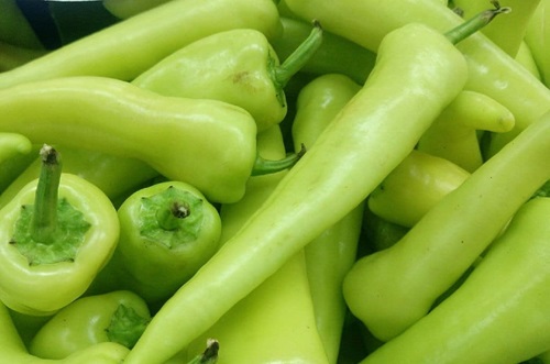 Aji verde chileno Aji verde chileno