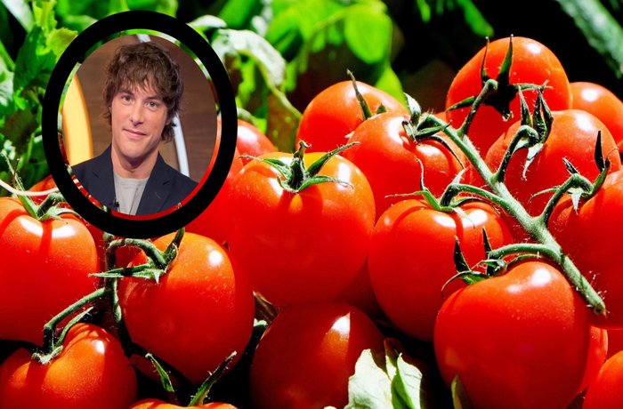 Cómo elegir un buen tomate según Jordi Cruz: cinco claves que marcan la diferencia
